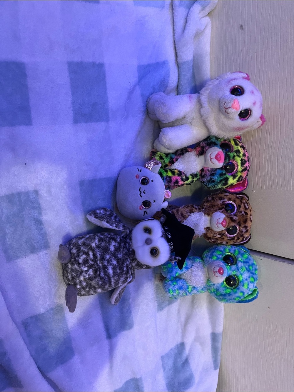 Ty Plush Pet Set -Multicolor Beanie Buddies ALL OFFERS EXPECTED ASAP!!!!!